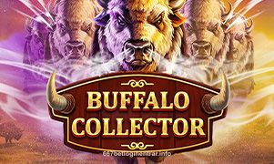 Buffalo Collector - Jogo de Caça-Níqueis no 667bet